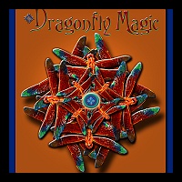 12x18 Dragonfly Magic -PRINT